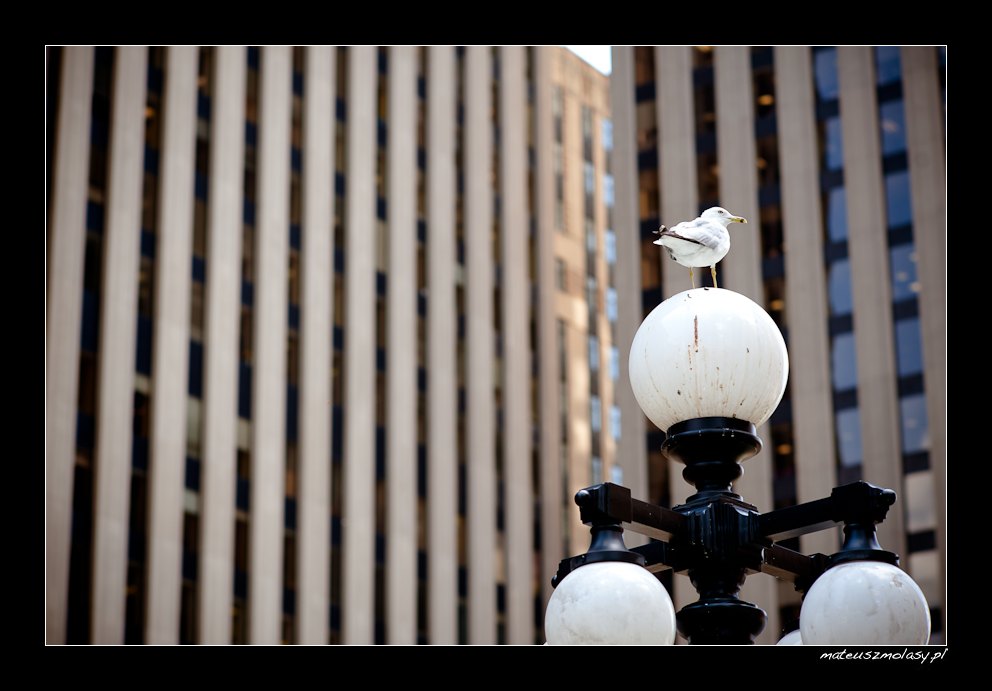 Toronto, Ontario, Canada