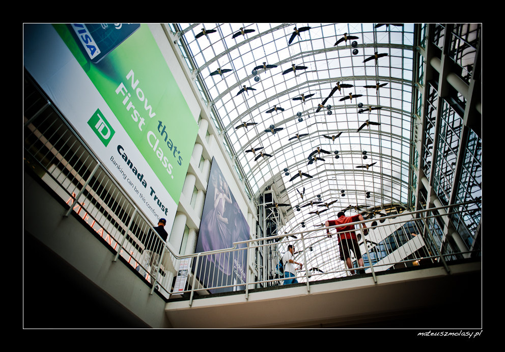 Toronto, Ontario, Canada