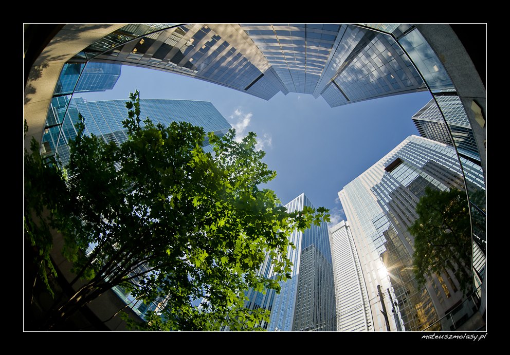 Toronto, Ontario, Canada