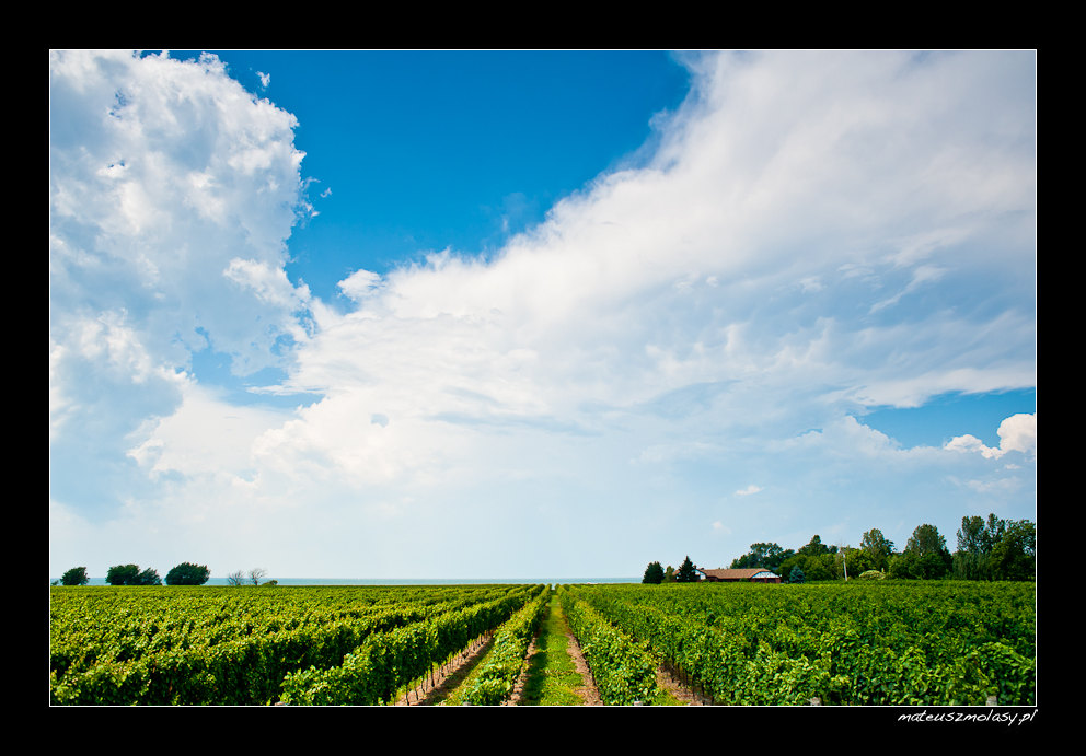 Konzelmann Estate Winery, Ontario, Canada