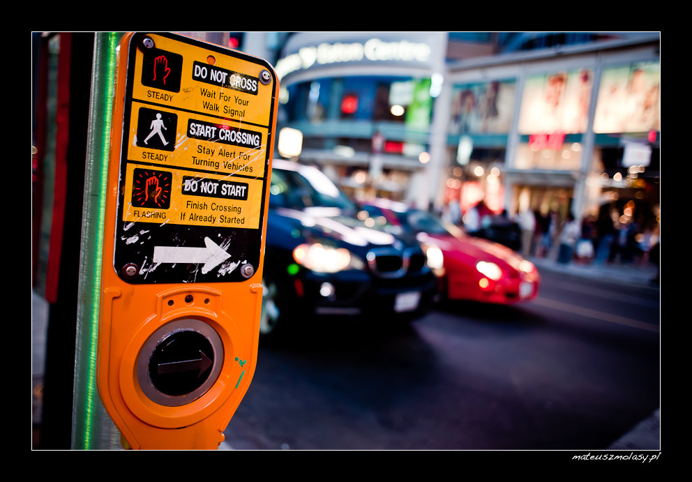 Do Not Cross, Start Crossing, Dundas Square, Toronto, Ontario, Canada