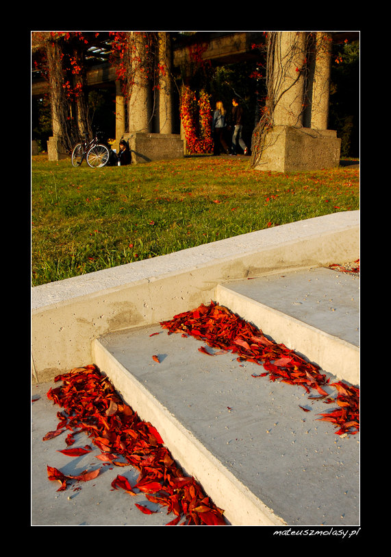 Park Szczytnicki, Wroc�aw, Polska