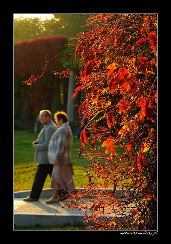 Park Szczytnicki, Wroc�aw, Polska