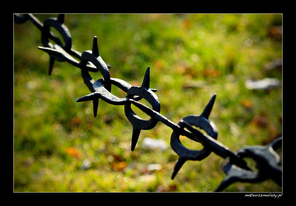 Wroc�aw, Wroclaw, Polska, Poland