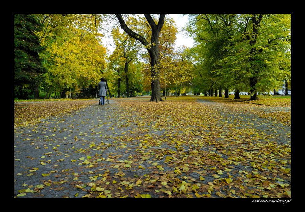 Wroc�aw, Wroclaw, Polska, Poland