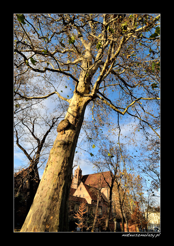 Wroc�aw, Wroclaw, Polska, Poland