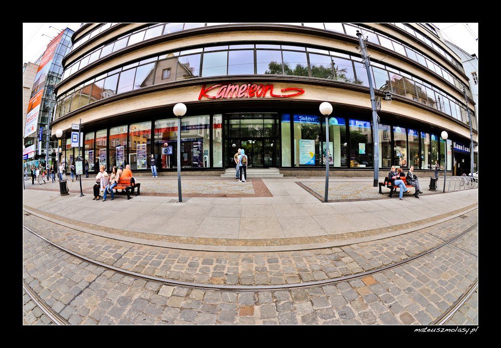 Kameleon, Wroc�aw, Wroclaw, Polska, Poland