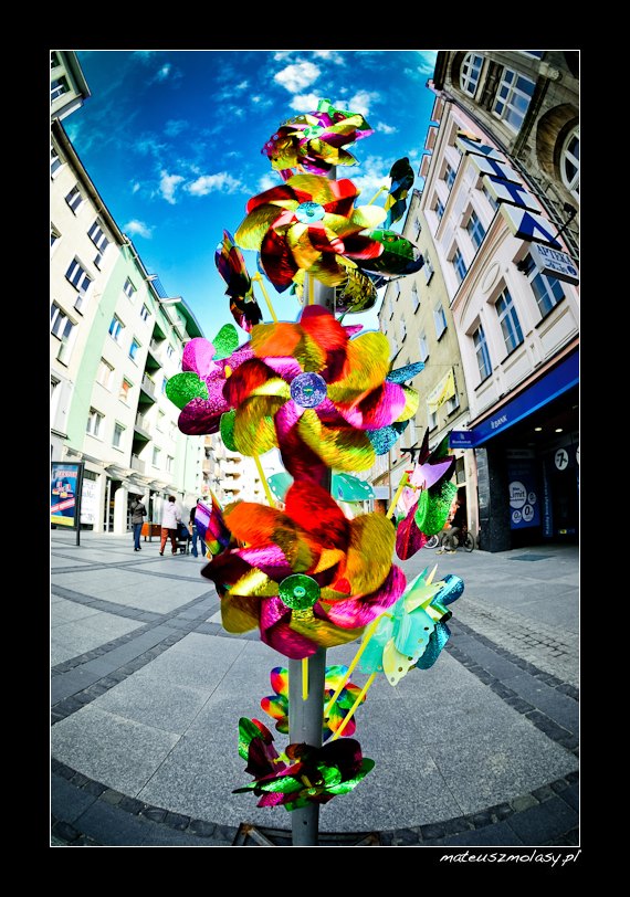 Wroc�aw, Wroclaw, Polska, Poland