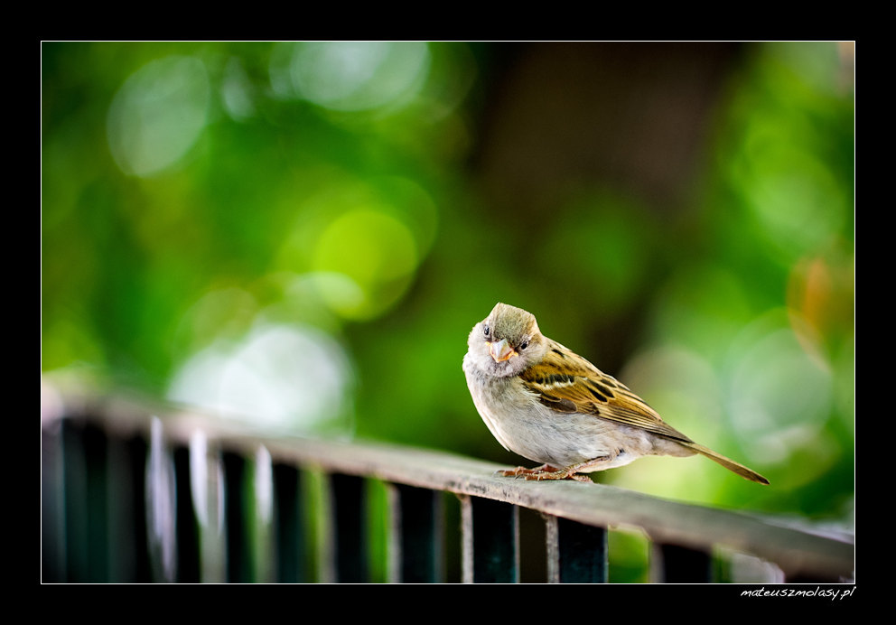 Wroc�aw, Wroclaw, Polska, Poland