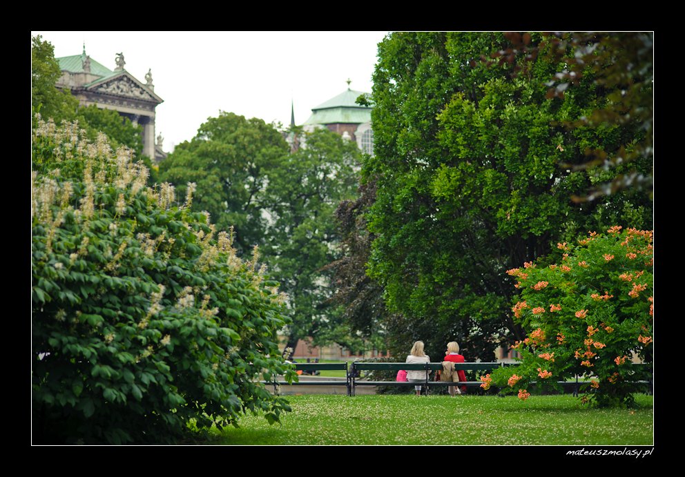 Wiedeń, Vienna, Wien, Austria