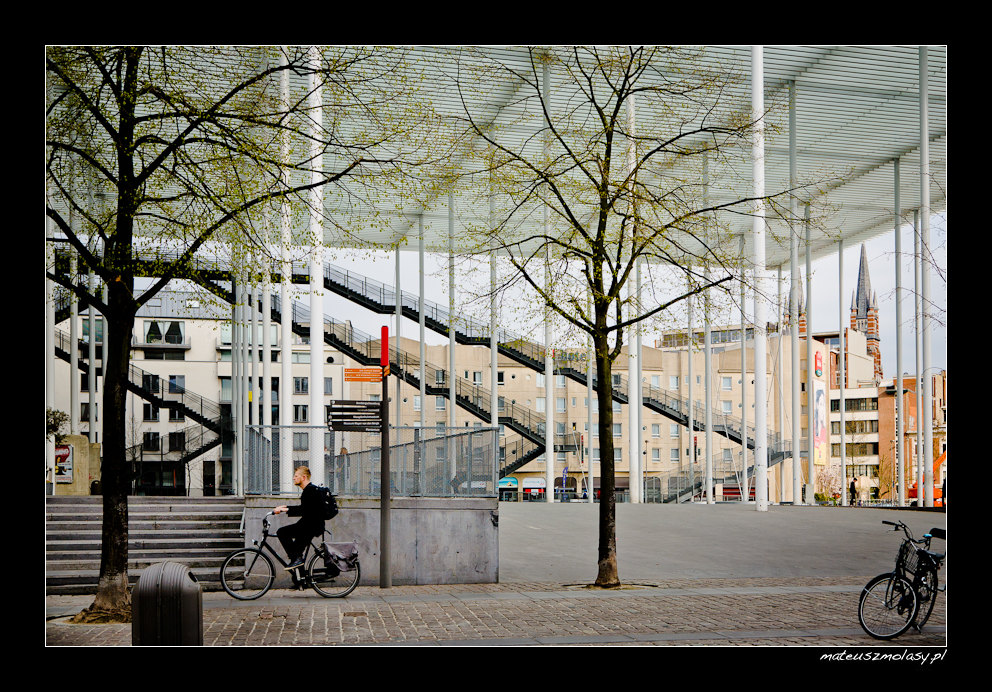 Antwerp, Antwerpen, Antwerpia, Belgium, Belgia