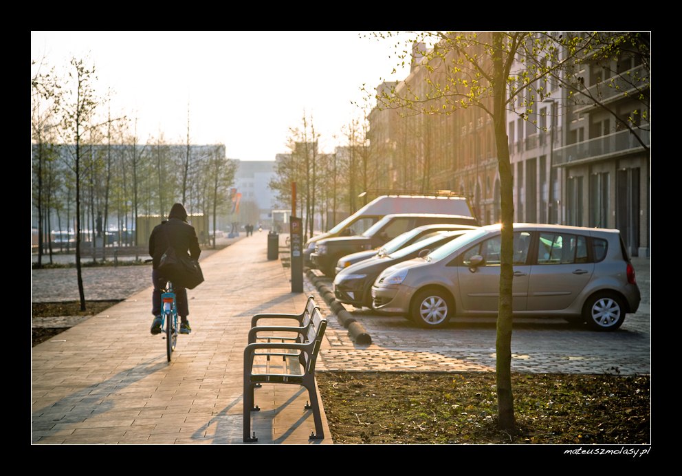 Antwerp, Antwerpen, Antwerpia, Belgium, Belgia