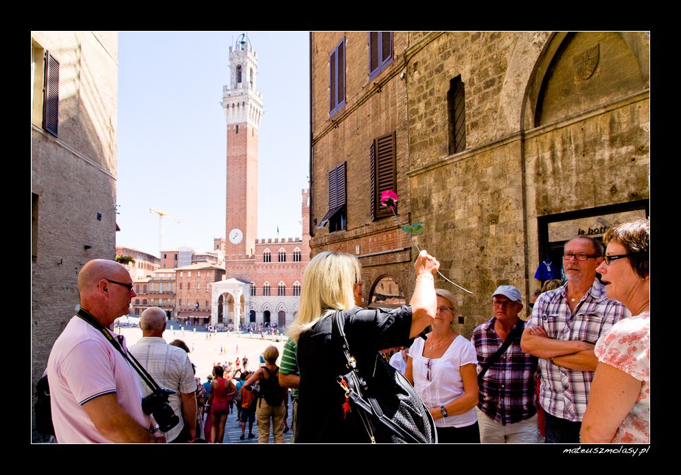 Guided Tour, Siena, Tuscany, Italy