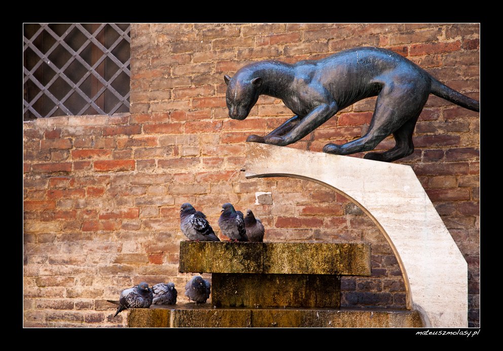 Hunting, Siena, Tuscany, Italy