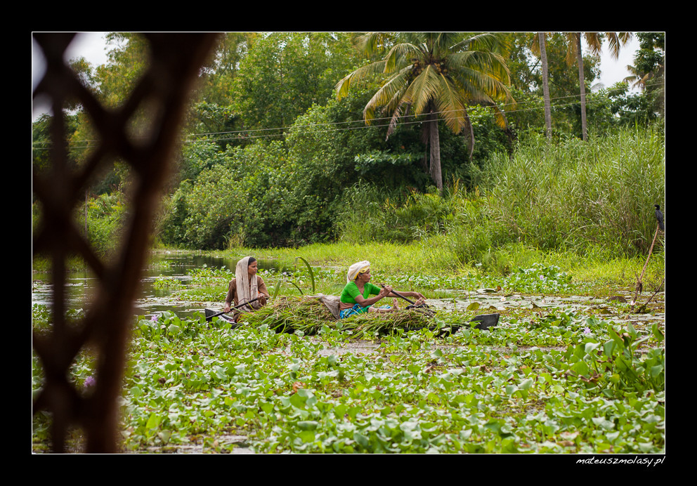 Kerala Backwaters, India
