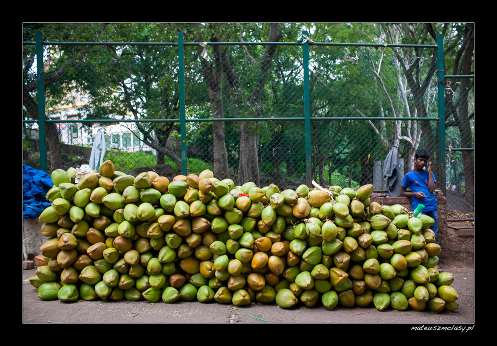 Bengaluru, Karnataka, India