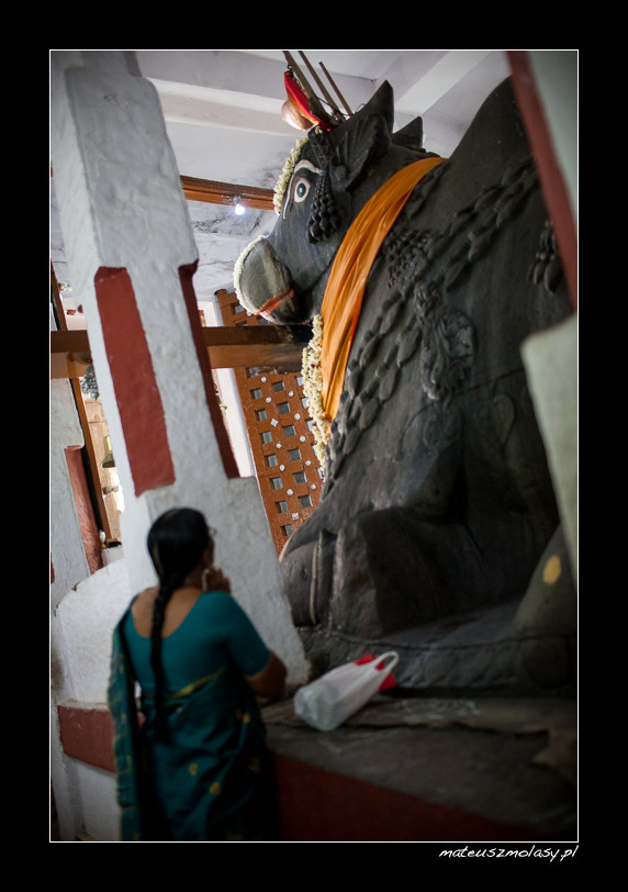 Bengaluru, Karnataka, India