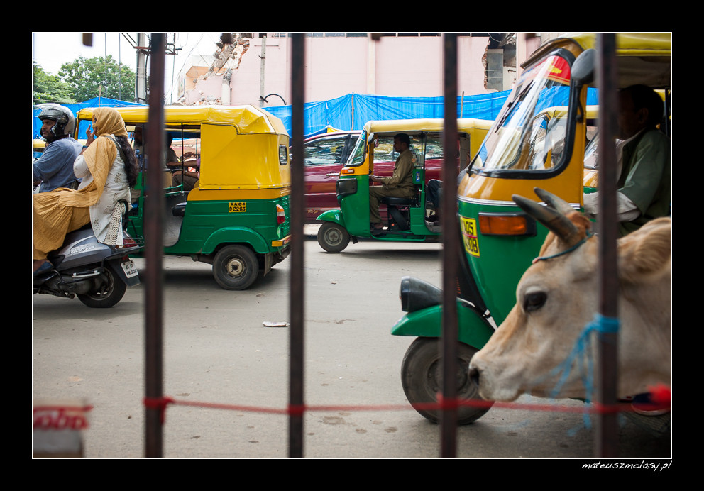 Bengaluru, Karnataka, India