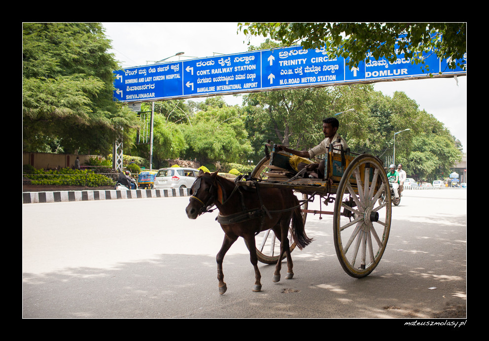 Bengaluru, Karnataka, India