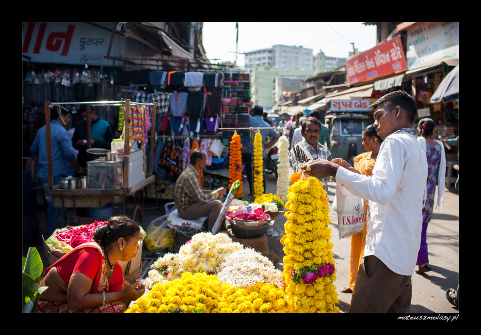 Vadodara / Baroda, Gujarat, India